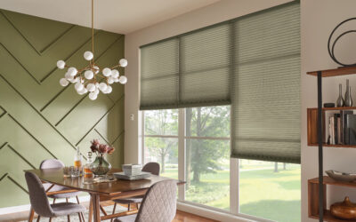 Cellular Shades: The Energy Efficiency Choice
