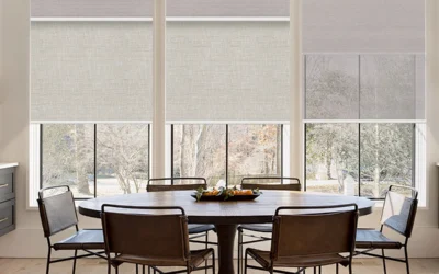 Dual Roller Shades Central DuPage | Day-Night Control