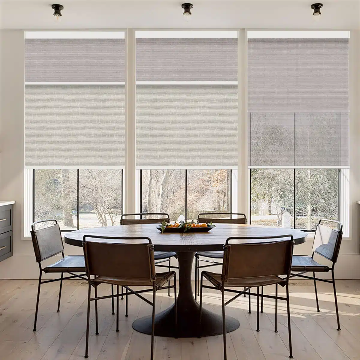 Dual Roller Shades Central DuPage
